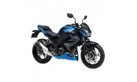 Kawasaki Z250/Z300 Fairings UK Manufacturers
