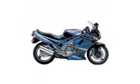 Kawasaki ZZR600 Fairings UK Manufacturers