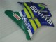 1995-1996 Honda CBR600 F3 Motorcycle Fairings - Blue Green Yellow MoviStar Red Castrol UK Manufacturers