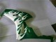 2006-2007 Honda CBR1000RR Motorcycle Fairings - White Green Flame UK Manufacturers
