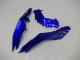 2013-2024 Kawasaki Ninja 300 EX300R Motorcycle Fairings - Blue Black White Flame UK Manufacturers