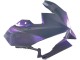 2024-2025 Kawasaki Ninja 500 EX500R Motorcycle Fairings - Chameleon Grey Dazz Pearl Purple UK Manufacturers