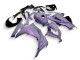 2013-2024 Kawasaki EX300 Motorcycle Fairings - Chameleon Grey Dazz Pearl Purple UK Manufacturers