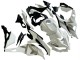 2019-2025 Kawasaki ZX25R ZX-25R Motorcycle Fairings - White Silver Green Black Trick Star UK Manufacturers
