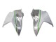2015-2022 Kawasaki Ninja H2 Motorcycle Fairings - White Silver Green UK Manufacturers