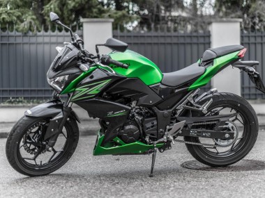2015-2016 Kawasaki Z250/Z300 Motorcycle Fairing Kits - Green Matte Black UK Manufacturers