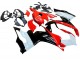 2020-2024 Ducati Panigale V2 Motorcycle Fairing Kits - White Red Glossy Black UK Manufacturers