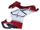 2020-2021 Ducati Panigale V4 V4S Motorcycle Fairings - White Red Green Matte Black UK Manufacturers