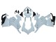 2020-2021 Ducati Panigale V4 V4S Motorcycle Fairings - Unpainted UK Manufacturers
