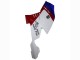 2005-2010 BMW K1200S Abs Fairings - White Red Blue UK Manufacturers