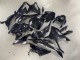 2023-2024 BMW S1000RR Motorcycle Fairings - Glossy Black Carbon Fiber UK Manufacturers