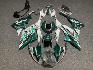 2017-2018 BMW S1000RR Motorcycle Fairings - White Green UK Manufacturers