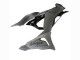2023-2025 Kawasaki ZX6R Motorcycle Fairings - Grey Ninja UK Manufacturers