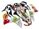 2012-2018 Aprilia RS4 50 125 Motorcycle Fairing - White Red Green Yellow Alitalia UK Manufacturers