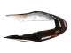 2004-2007 Honda CBR600 F4i Motorcycle Fairings - White Glossy Black Red Repsol UK Manufacturers