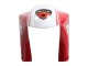 1993-2005 Ducati 748/916/996/998 Motorcycle Fairings - White Red Yellow Green Glossy Black Performance UK Manufacturers