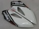 2004-2005 Honda CBR1000RR Motorcycle Fairings - White Blue Red Glossy Black Star Carrera Lee UK Manufacturers