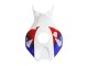2006-2007 Honda CBR1000RR Motorcycle Fairing - White Red Blue HRC UK Manufacturers