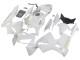 2005-2006 Honda CBR600RR Motorcycle Fairings - White Gold UK Manufacturers