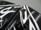 2004-2005 Kawasaki ZX10R Motorcycle Fairings - Black White UK Manufacturers