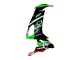 2008-2010 Kawasaki ZX10R Motorcycle Fairings - Green White Red Black Monster Elf 66 UK Manufacturers