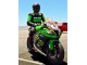 2011-2015 Kawasaki ZX10R Motorcycle Fairings - Green Yellow White Black Red Pirelli UK Manufacturers