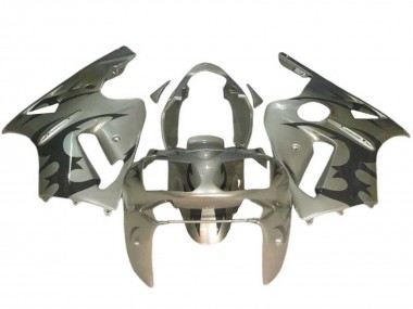 2002-2006 Kawasaki ZX12R Motorcycle Fairings - Silver Black UK Manufacturers