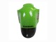 2002-2006 Kawasaki ZX12R Motorcycle Fairing - Green Glossy Black Elf Touch4 Monster UK Manufacturers