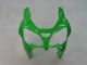 2000-2001 Kawasaki ZX9R Motorcycle Fairings - Green Silver Black UK Manufacturers