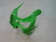 2000-2001 Kawasaki ZX9R Motorcycle Fairings - Green Silver Black UK Manufacturers