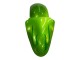 2000-2001 Kawasaki ZX9R Motorcycle Fairings - Green Flame UK Manufacturers
