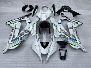 2016-2020 Kawasaki ZX10R Motorcycle Fairings - White Silver Green Blue Black Trick Star UK Manufacturers